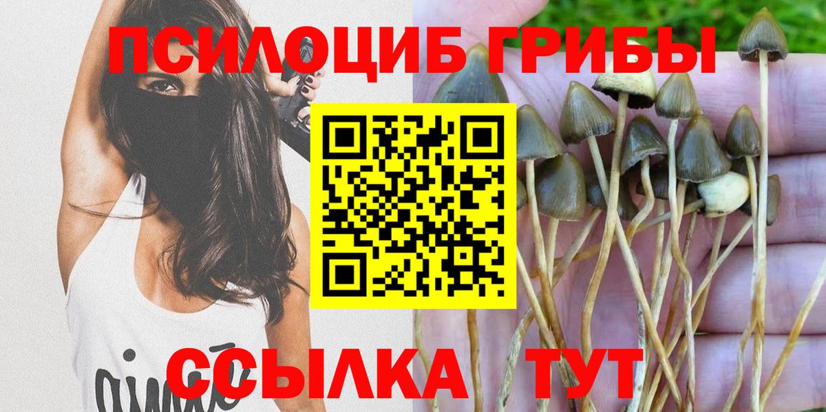 Псилоцибиновые грибы Psilocybe  даркнет сайт  Горно-Алтайск  Вход с VPN 
